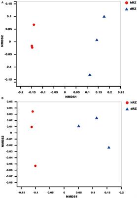 Comparative Analysis of the Microbial Community Structures Between Healthy and Anthracnose-Infected Strawberry Rhizosphere Soils Using Illumina Sequencing Technology in Yunnan Province, Southwest of China